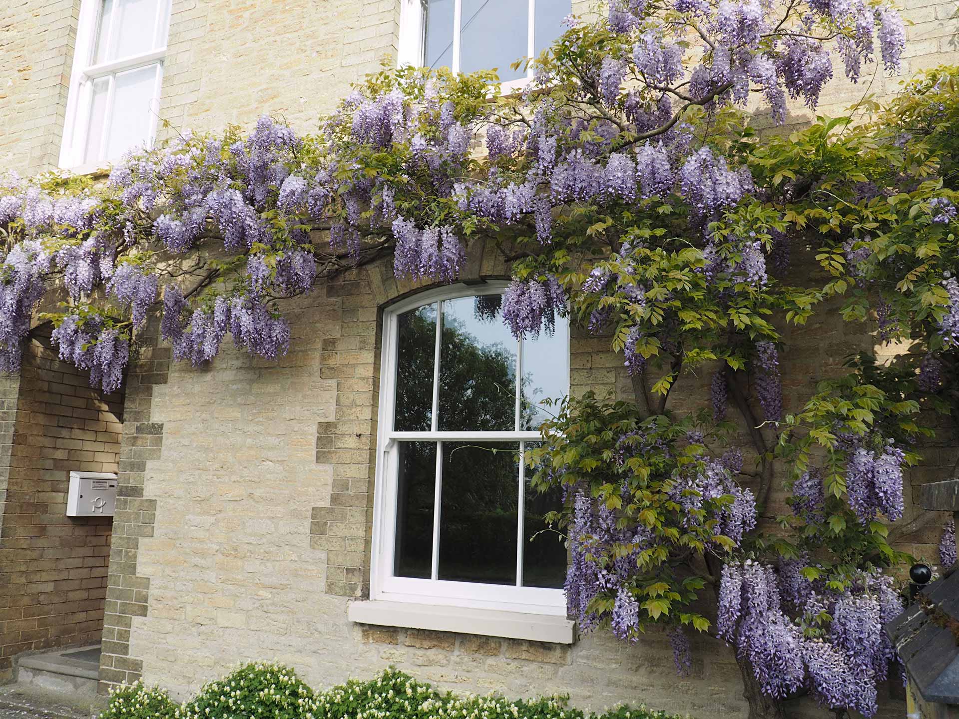 heritage sash windows