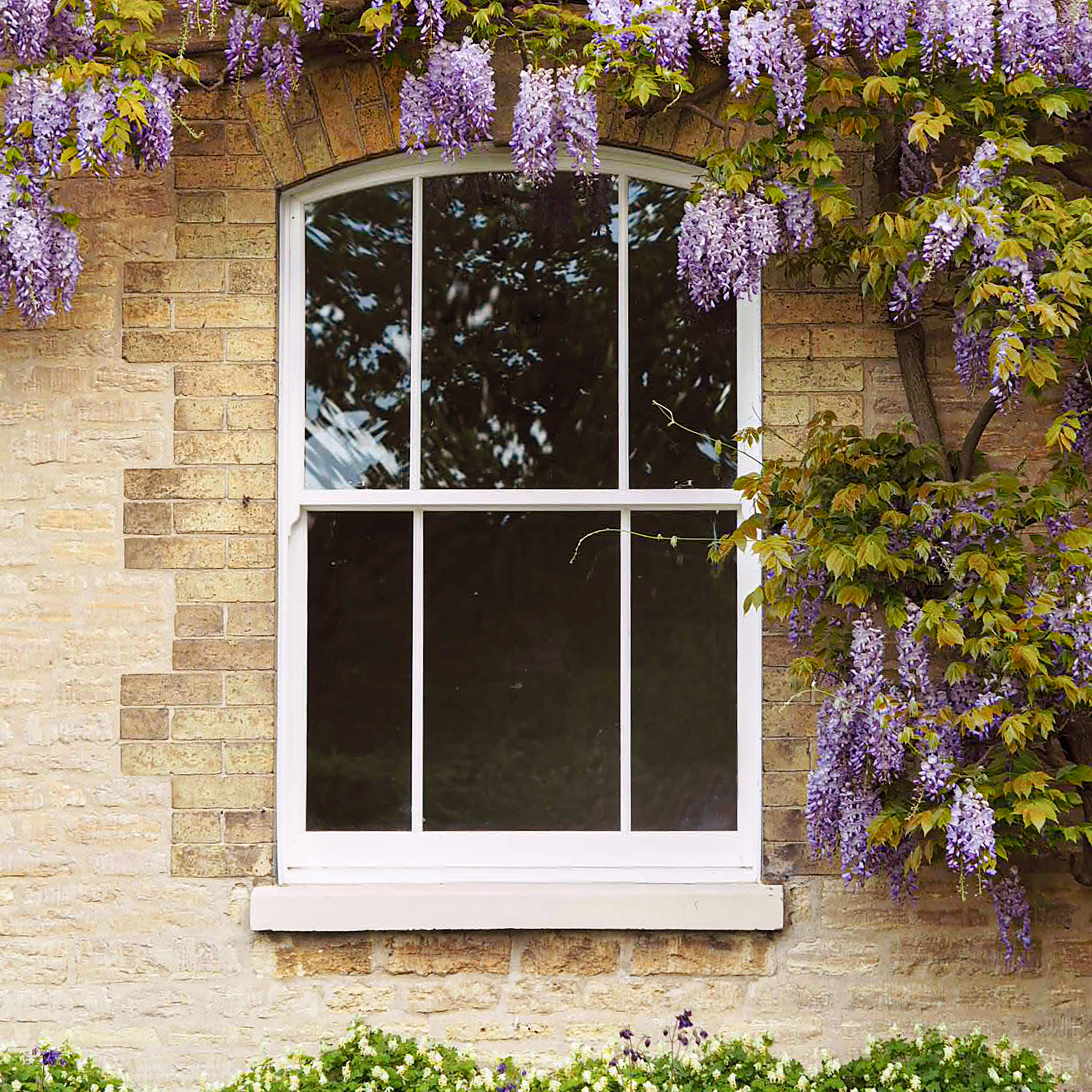 Sash Windows - Roseview Windows